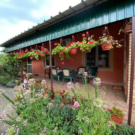 SkorenovacSud ,,Antal I Olga,,住宿加早餐旅馆 外观 照片