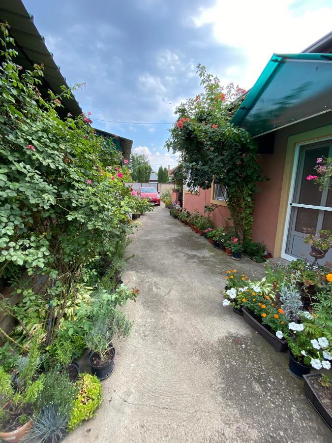 SkorenovacSud ,,Antal I Olga,,住宿加早餐旅馆 外观 照片