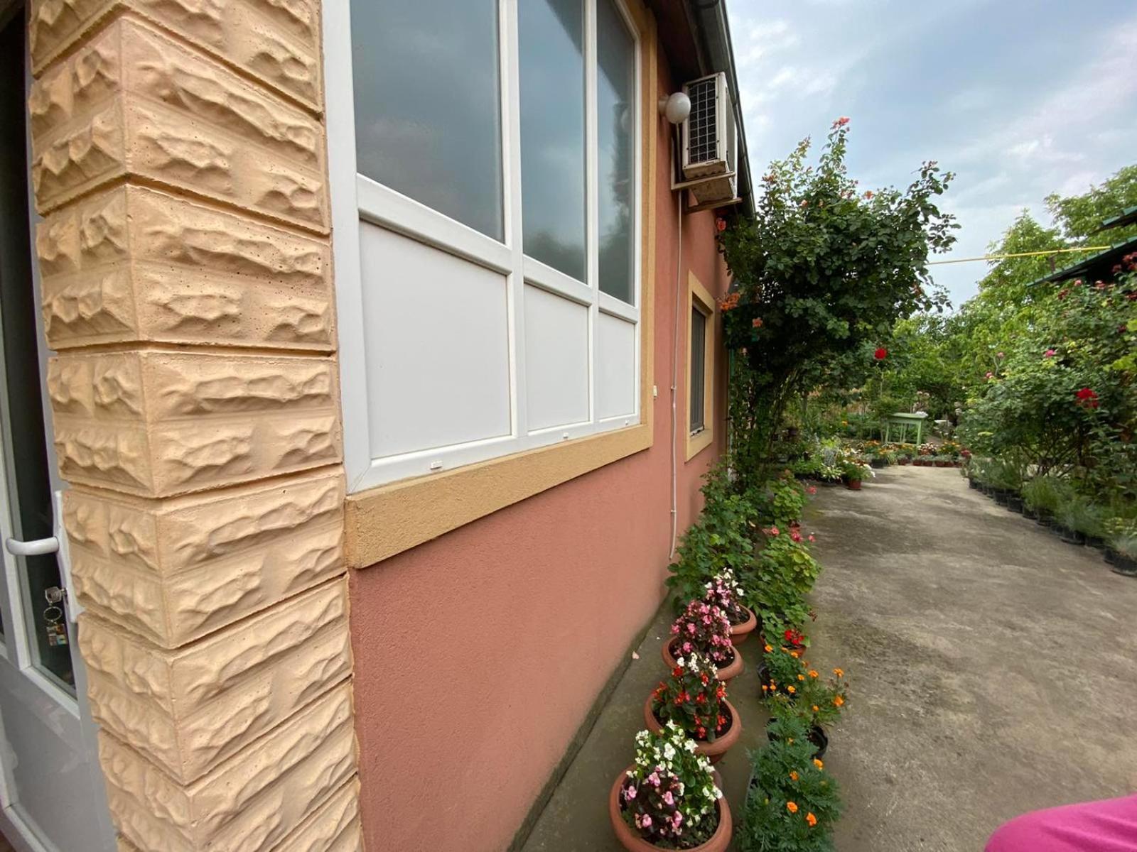 SkorenovacSud ,,Antal I Olga,,住宿加早餐旅馆 客房 照片